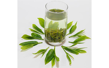 茶葉二維碼好色先生软件下载標簽可以帶來哪些優勢價值已經特點?